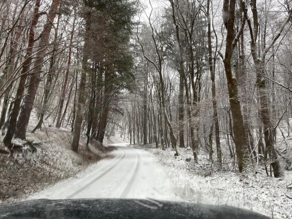 Hidegpataki Fakapu Vadaszhaz Abaújszántó Exterior foto